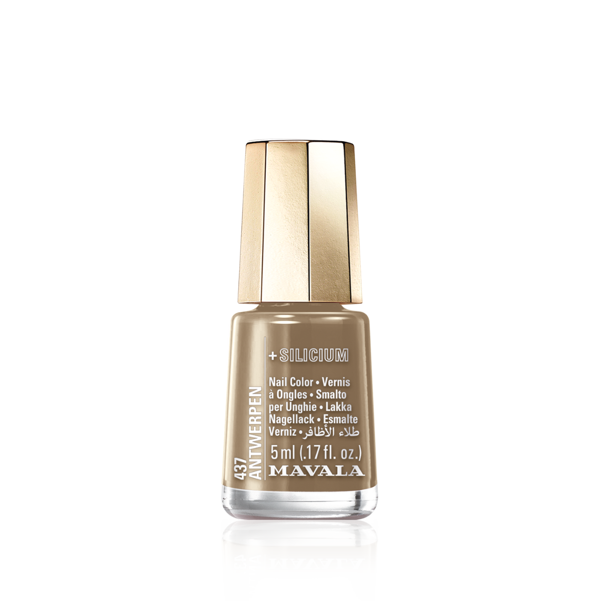 Mini Color Nail Polish Brown