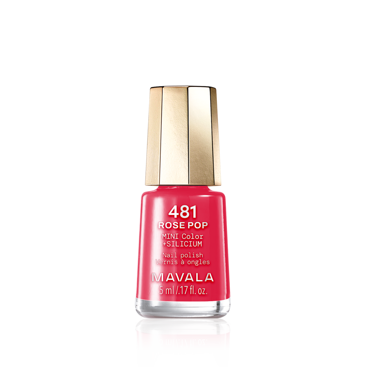 Mini Color Nail Polish Pink